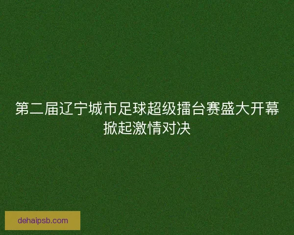 第二届辽宁城市足球超级擂台赛盛大开幕掀起激情对决
