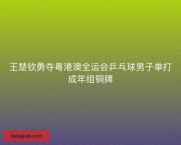 王楚钦勇夺粤港澳全运会乒乓球男子单打成年组铜牌